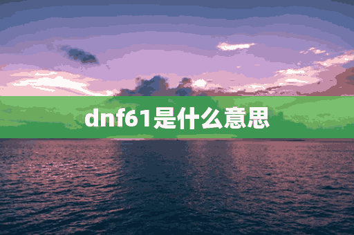 dnf61是什么意思(dnf6110是什么意思)